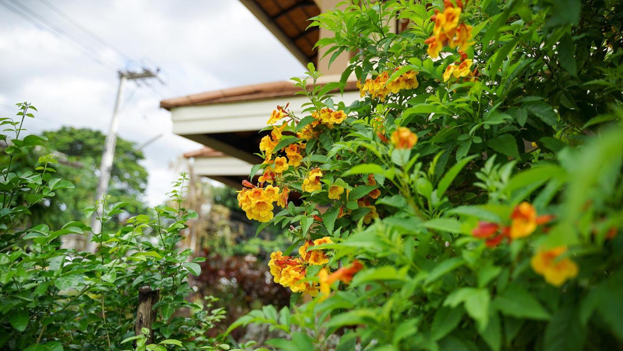 Laph Kham House Aparthotel Chiang Mai Ngoại thất bức ảnh